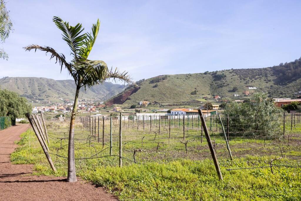 Casita Entre Vinedos, Experiencia Rural, Ideal Ninos. Тегесте Экстерьер фото